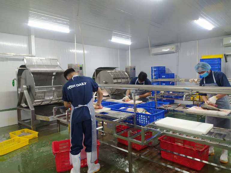 Quy trình sơ chế bảo đảm an toàn vệ sinh thực phẩm của hợp tác xã công nghệ cao Đại Áng. Quy trình sơ chế bảo đảm an toàn vệ sinh thực phẩm của hợp tác xã công nghệ cao Đại Áng.