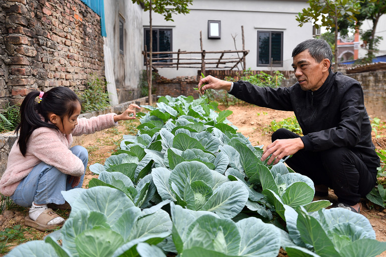 Thời gian rảnh rỗi, Nhã Linh và ông nội lại cùng nhau chăm sóc mảnh vườn nhỏ cạnh nhà. Đây cũng chính là một trong những nguồn cảm hứng để cô bé vẽ nên những bức tranh tươi sáng cất kỹ trong góc học tập xinh xắn của mình.