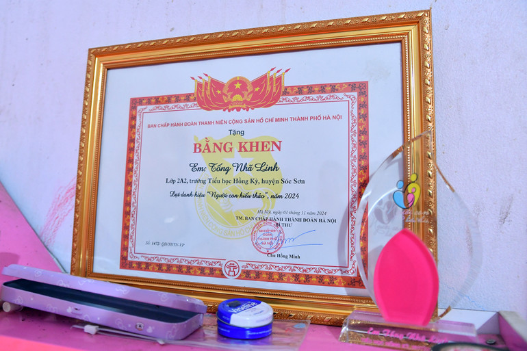 Tại Liên hoan "Những người con hiếu thảo" lần thứ 2, do Thành đoàn, Hội đồng Đội Thành phố Hà Nội tổ chức vào cuối tháng 11/2024, có một đại biểu với hoàn cảnh gia đình đặc biệt khiến nhiều người không khỏi xúc động, cảm phục. Đó là em Tống Nhã Linh, học sinh lớp 2A2, Trường Tiểu học Hồng Kỳ (huyện Sóc Sơn, Hà Nội).