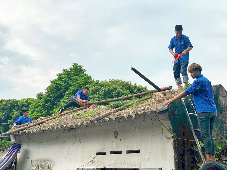 Các bạn trẻ chung tay xóa nhà tạm, nhà dột nát cho người dân Thái Bình.