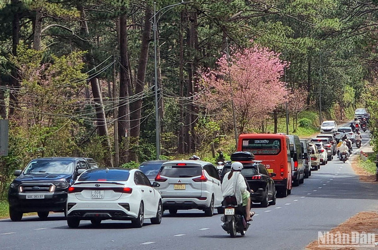 Đèo Prenn, cửa ngõ vào trung tâm thành phố Đà Lạt dịp Tết Nguyên đán 2023.