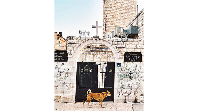 Góc phố yên bình ở Ramallah.