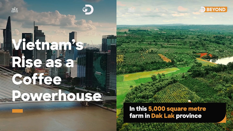 Trong phim, Discovery nhận định "vùng đất Buôn Ma Thuột (Đắk Lắk) có những điều kiện hoàn hảo để sản xuất hạt cà-phê Robusta chất lượng cao”, đang từng bước phát triển trở thành “Thành phố cà-phê của thế giới”.