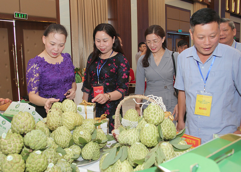 Thương hiệu Na Mai Sơn được khẳng định khi sản phẩm được kiểm soát và cấp tem nhãn truy xuất nguồn gốc. Thương hiệu Na Mai Sơn được khẳng định khi sản phẩm được kiểm soát và cấp tem nhãn truy xuất nguồn gốc.