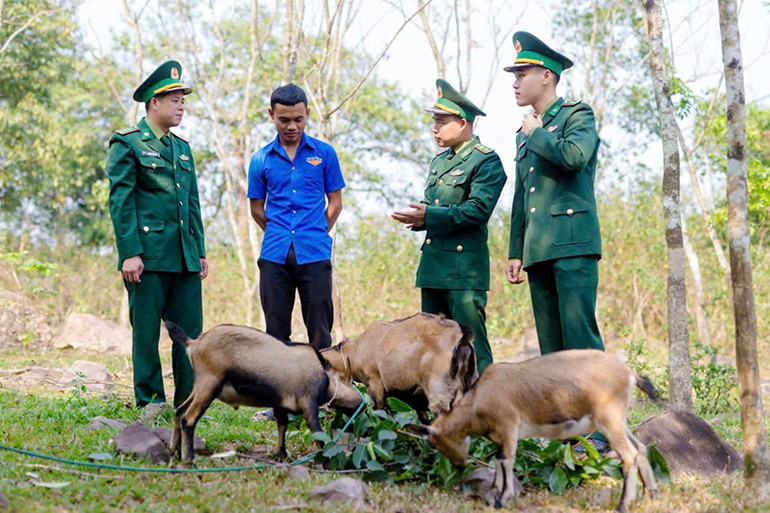 Nhiều mô hình Bộ đội Biên phòng Quảng Trị hỗ trợ giúp dân xóa đói, giảm nghèo phát huy hiệu quả. Nhiều mô hình Bộ đội Biên phòng Quảng Trị hỗ trợ giúp dân xóa đói, giảm nghèo phát huy hiệu quả.