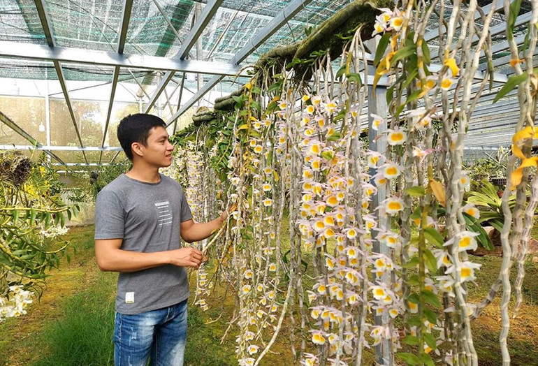 Mô hình trồng hoa mang lại thu nhập cho các hộ dân.