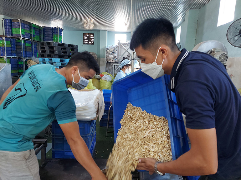 Chế biến sâu nông sản giúp gia tăng giá trị sản phẩm.