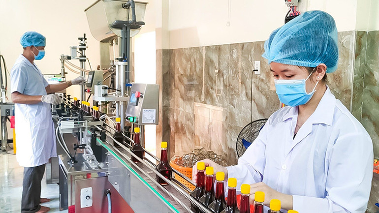 Dây chuyền sản xuất nước mắm tại Công ty TNHH Kinh doanh Nước mắm Huỳnh Khoa (Phú Quốc, Kiên Giang). Ảnh | MINH ANH Dây chuyền sản xuất nước mắm tại Công ty TNHH Kinh doanh Nước mắm Huỳnh Khoa (Phú Quốc, Kiên Giang). Ảnh | MINH ANH