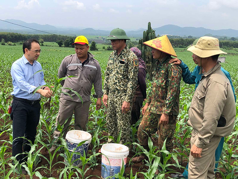 Anh Nguyễn Bá Trường (trái) hướng dẫn các hộ dân kỹ thuật trồng ngô sinh khối làm nguyên liệu cho Tập đoàn TH. Anh Nguyễn Bá Trường (trái) hướng dẫn các hộ dân kỹ thuật trồng ngô sinh khối làm nguyên liệu cho Tập đoàn TH.