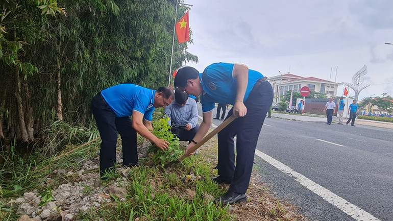 Trồng cây xanh dọc các tuyến đường ở thị trấn Vĩnh Viễn, huyện Long Mỹ.
