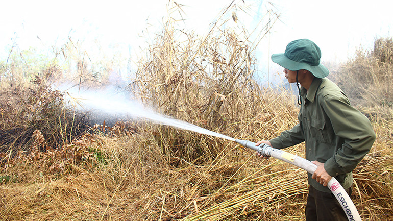 Lực lượng chữa cháy tại chỗ phun nước ngăn chặn cháy lan.
