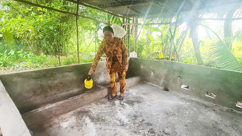 Bà Thị Chanh, ấp 7, xã Vị Tân, thành phố Vị Thanh mong sớm được hỗ trợ để tái đàn, nhằm trả nợ số tiền mượn xây chuồng.