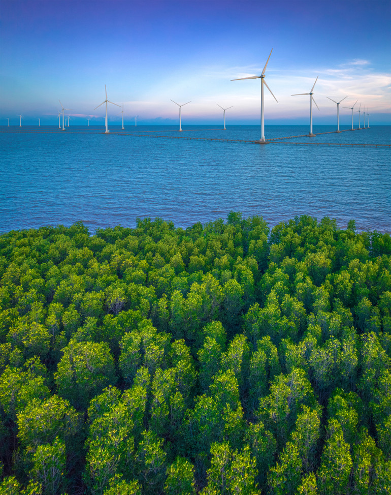 Tác phẩm Năng lượng xanh thích ứng biến đổi khí hậu của tác giả Mai Hoài Thương (Cần Thơ) thuộc thể loại ảnh hiện thực.