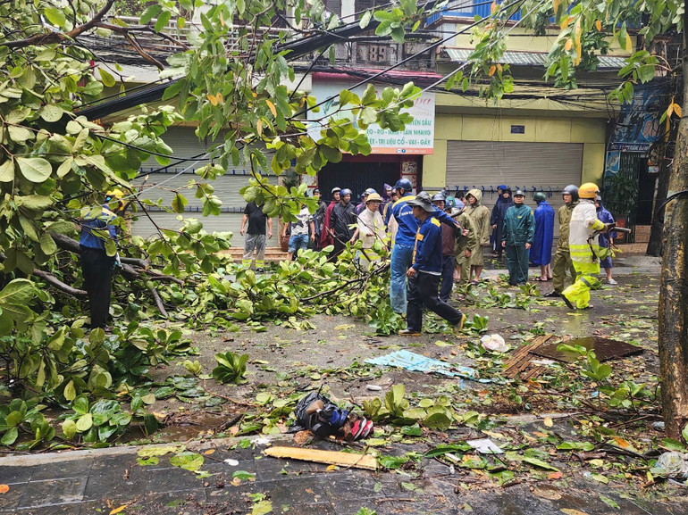 Lực lượng chức năng thu dọn cây gãy đổ tại thành phố Nam Định, tỉnh Nam Định sáng ngày 8/9.