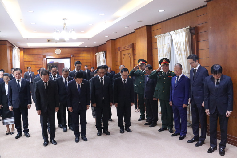 7 giờ 30 phút, Ủy viên Bộ Chính trị, Phó Thủ tướng, Bộ trưởng Ngoại giao Lào Saleumxay Kommasith dẫn đầu đoàn Bộ ngoại giao Lào vào viếng.