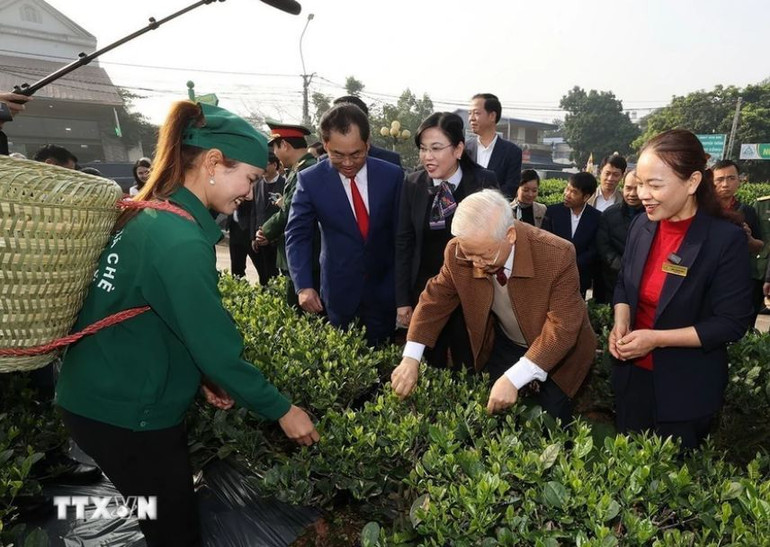 Tổng Bí thư Nguyễn Phú Trọng thăm vườn chè của Hợp tác xã Hảo Đạt, thành phố Thái Nguyên. Tổng Bí thư Nguyễn Phú Trọng thăm vườn chè của Hợp tác xã Hảo Đạt, thành phố Thái Nguyên.