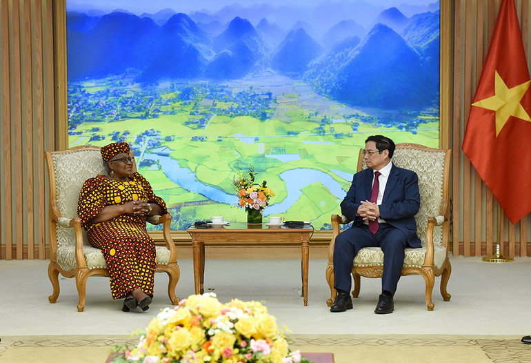 Thủ tướng Phạm Minh Chính tiếp bà Ngozi Okonjo-Iweala, Tổng Giám đốc WTO.