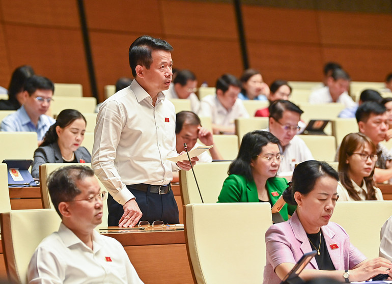 Đại biểu Quốc hội Nguyễn Hải Dũng (Nam Định) góp ý vào Điều 5 về nghĩa vụ người tiêu dùng, đề nghị Ban soạn thảo cần thống nhất cách hiểu nguồn gốc xuất xứ rõ ràng là gì, giải thích thêm quy định này để rõ nghĩa vụ cần tuân thủ của người tiêu dùng.