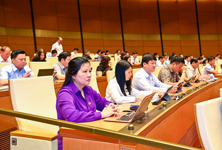 Các đại biểu tham dự phiên họp tại Hội trường Diên Hồng.