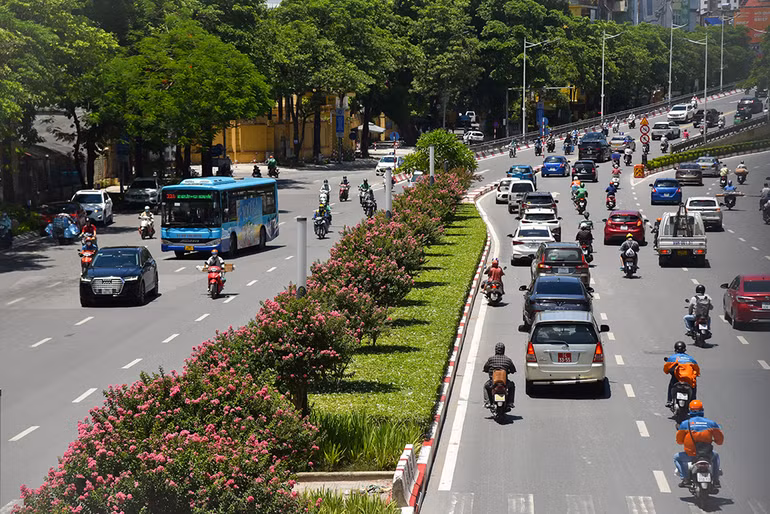 [Ảnh] Con đường hoa tường vi nở rộ, đẹp mê mẩn giữa lòng Hà Nội ảnh 10