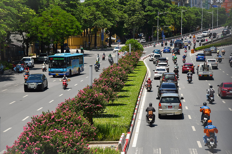 [Ảnh] Con đường hoa tường vi nở rộ, đẹp mê mẩn giữa lòng Hà Nội ảnh 10