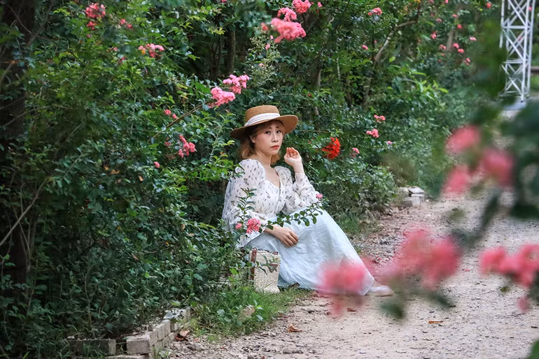 [Ảnh] Con đường hoa tường vi nở rộ, đẹp mê mẩn giữa lòng Hà Nội ảnh 8