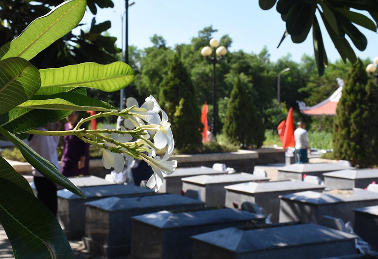 Tháng bảy trắng ngần hoa sứ… Tháng bảy trắng ngần hoa sứ…