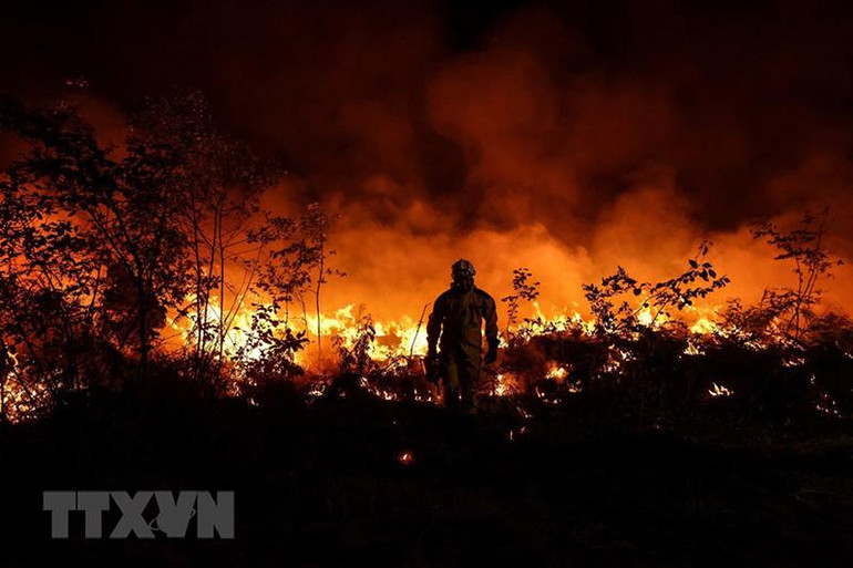 Nhân viên cứu hỏa nỗ lực khống chế các đám cháy rừng do nắng nóng tại Gironde, tây nam nước Pháp, ngày 17/7. (Nguồn: AFP/TTXVN)