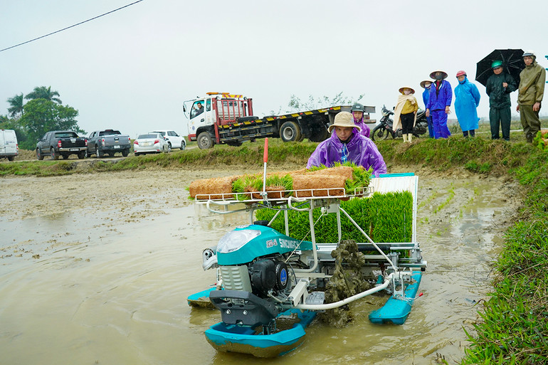 Hợp tác xã nông nghiệp Thống Nhất Xuân Lam (Hà Tĩnh) sử dụng máy cấy