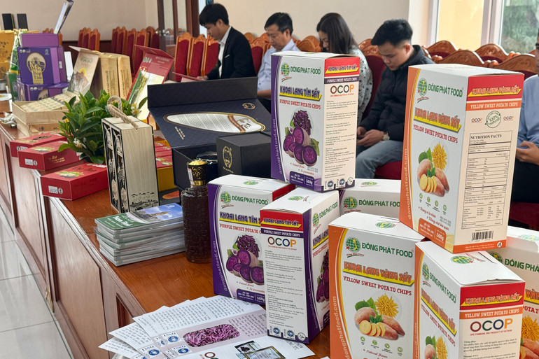 Các sản phẩm OCOP được trưng bày.