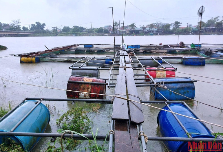 Hiện toàn tỉnh Thừa Thiên Huế còn hơn 3.500 lồng nuôi cá nước ngọt, trong đó khu vực sông Bồ chiếm số lồng nuôi khá nhiều.