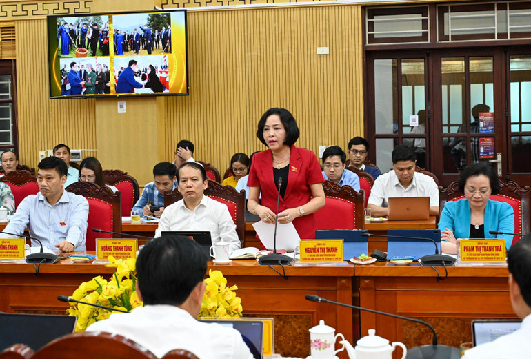 Trưởng Ban Công tác đại biểu Nguyễn Thị Thanh phát biểu ý kiến tại buổi làm việc.