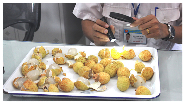 Cần đầu tư cho công nghệ chiếu xạ. Cần đầu tư cho công nghệ chiếu xạ.