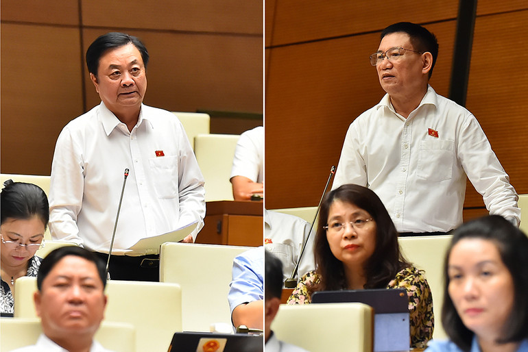 [Ảnh] Quốc hội hoàn thành phiên chất vấn và trả lời chất vấn ảnh 9