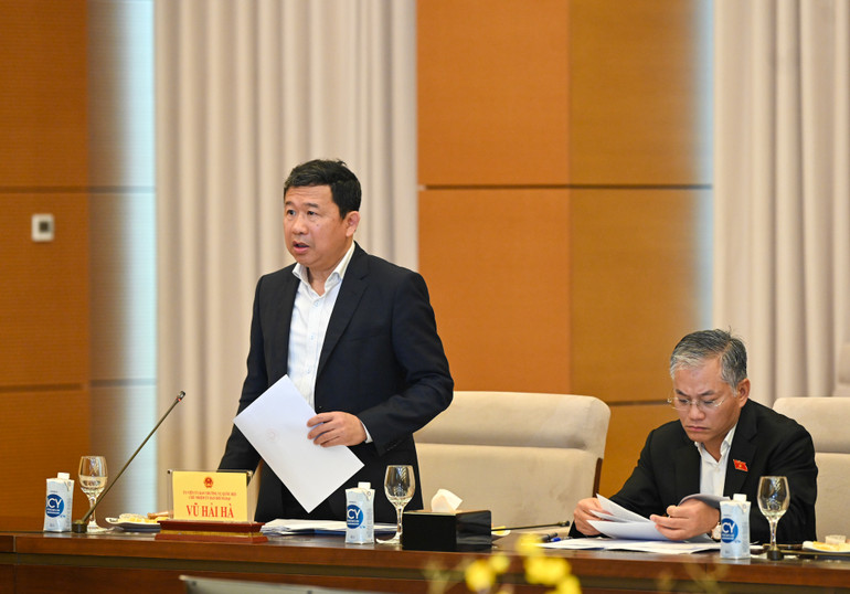 Chủ nhiệm Ủy ban Đối ngoại Vũ Hải Hà báo cáo tại cuộc họp.