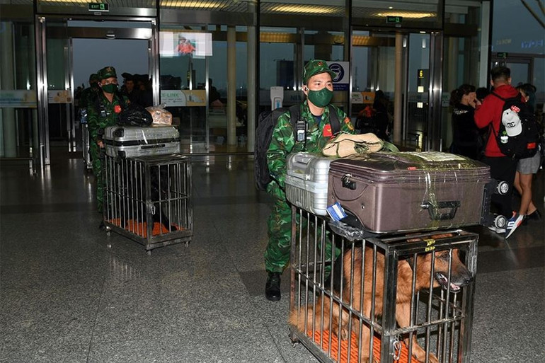 Chăm sóc "những người bạn trung thành" mọi lúc, mọi nơi.