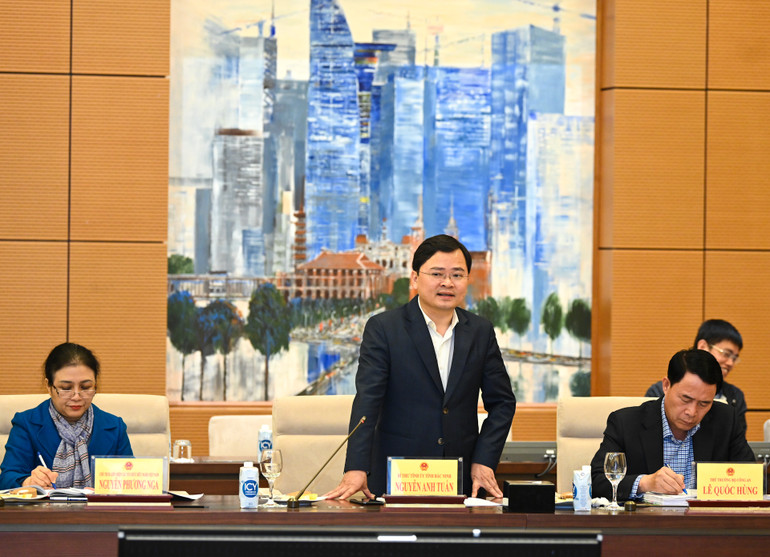 Chủ tịch Nhóm đại biểu Quốc hội trẻ Nguyễn Anh Tuấn phát biểu tại cuộc họp.