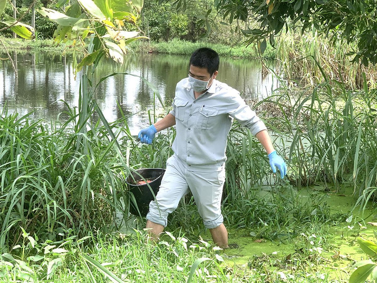 Đoàn kiểm tra lấy mẫu nước từ hồ chứa nước thải trang trại chăn nuôi để về phân tích kiểm tra.