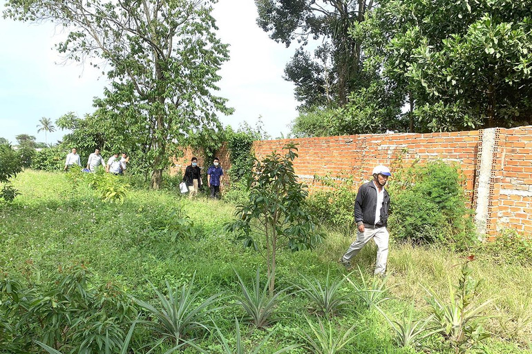Đoàn kiểm tra kiểm tra dọc bên ngoài tường rào trang trại chăn nuôi heo nái sinh sản của ông Huỳnh Tấn Khánh.