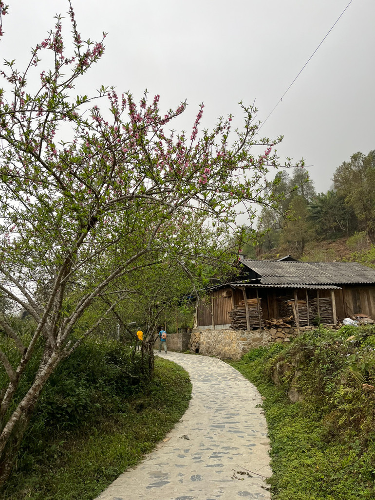 Môi trường du lịch sạch đẹp là điểm cộng cho Sì Thâu Chải.