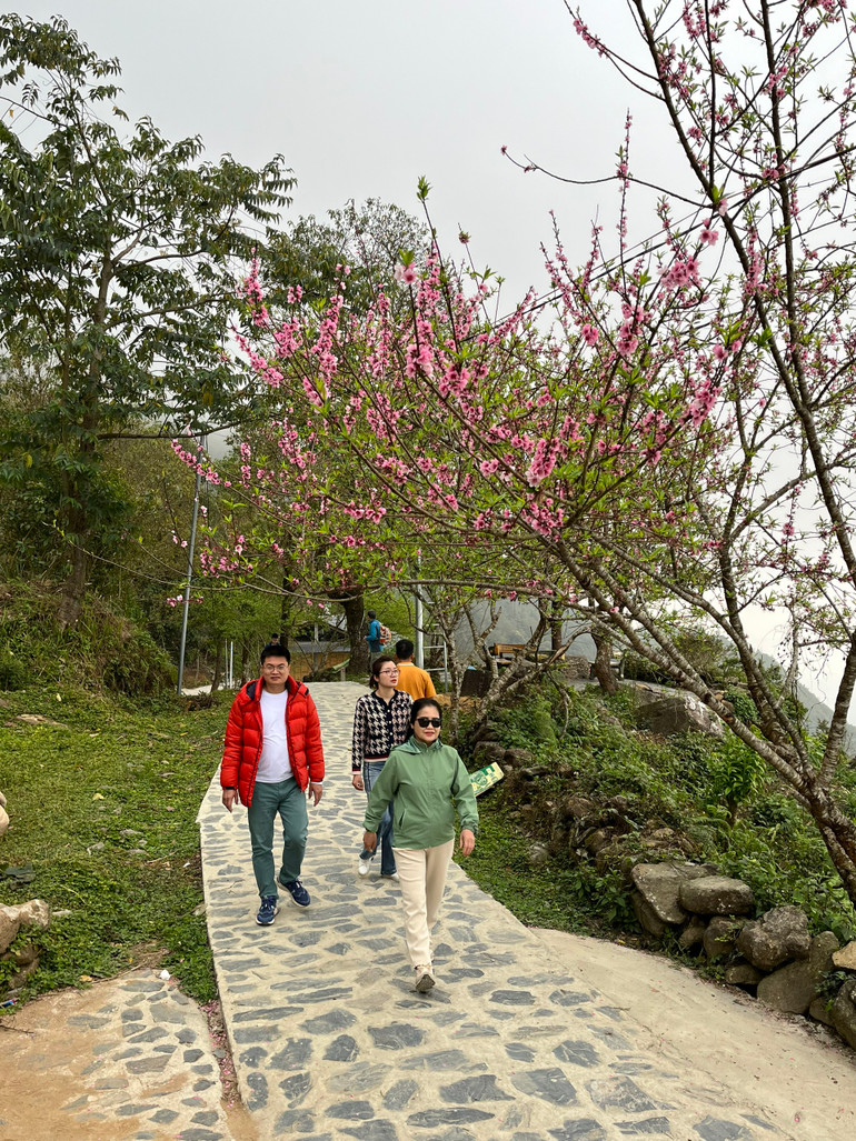 Môi trường du lịch sạch đẹp là điểm cộng cho Sì Thâu Chải.