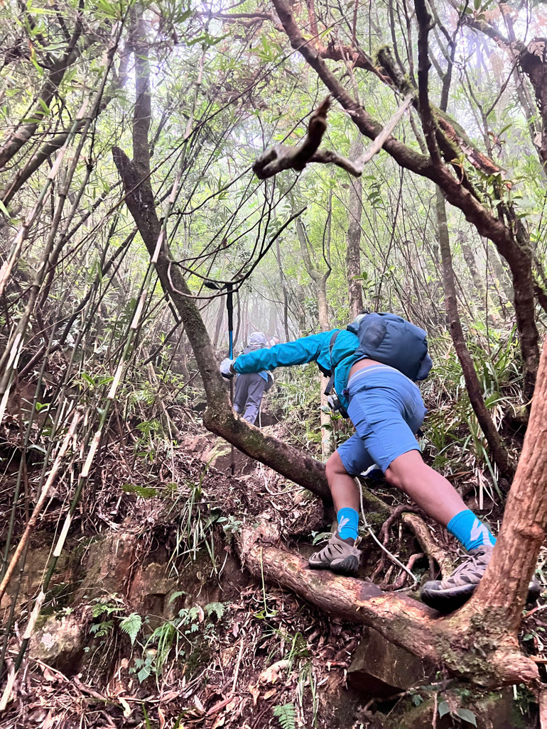 "Độc đạo". "Độc đạo".