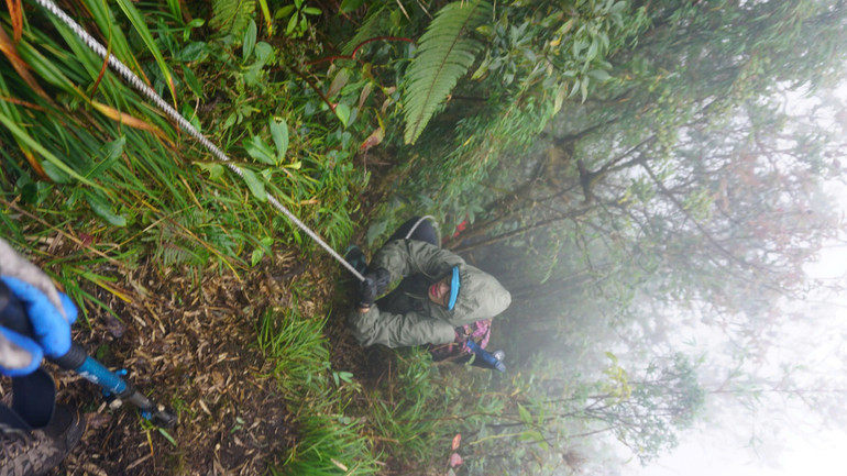 "Độc đạo". "Độc đạo".