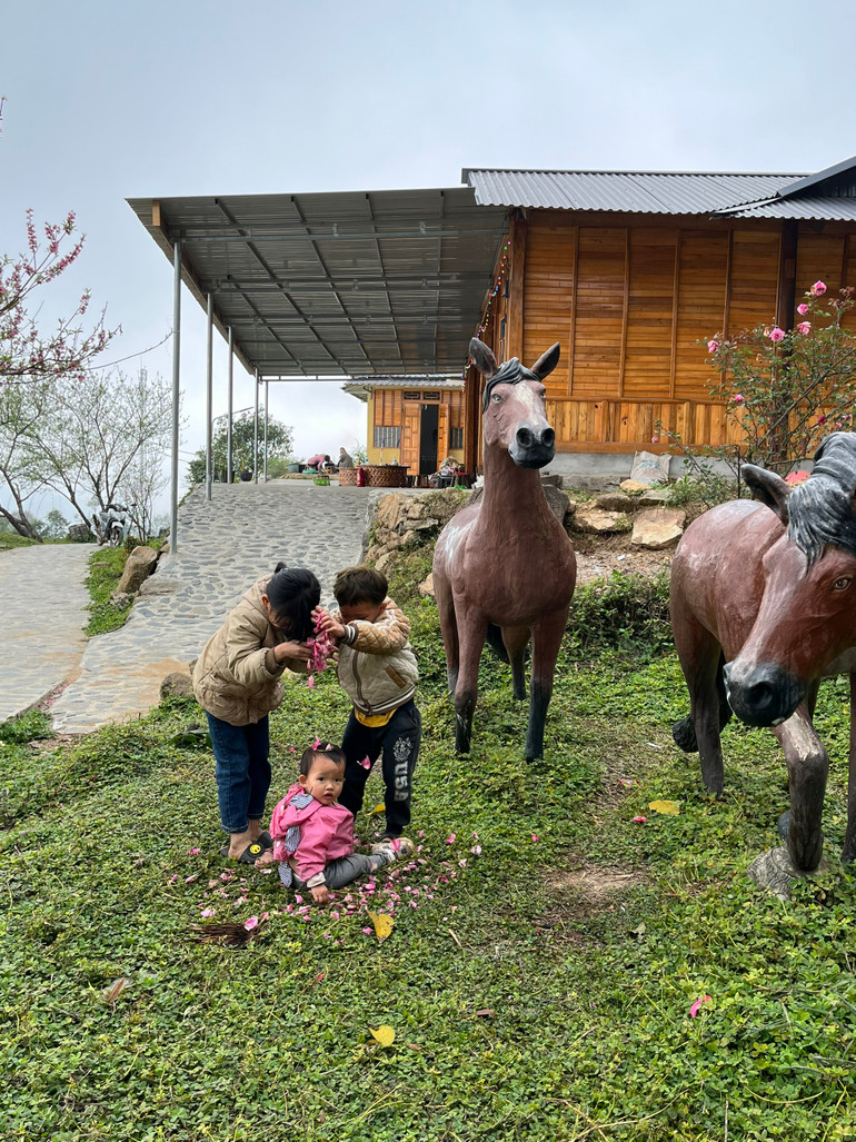 Cuộc sống bình yên