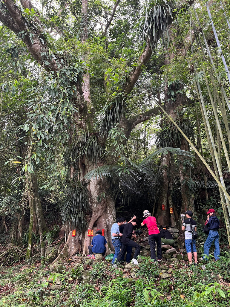 Du khách tìm hiểu nghi lễ cầu may tại thôn Pò Đán, xã Húc Động, huyện Bình Liêu. Du khách tìm hiểu nghi lễ cầu may tại thôn Pò Đán, xã Húc Động, huyện Bình Liêu.