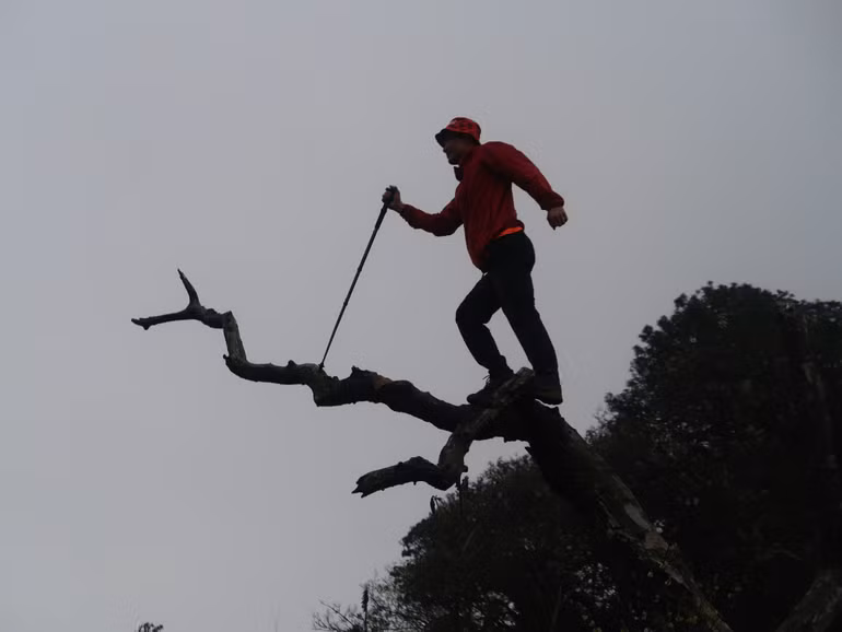 Khung hình "nguy hiểm" nhưng sự thật là khá an toàn.