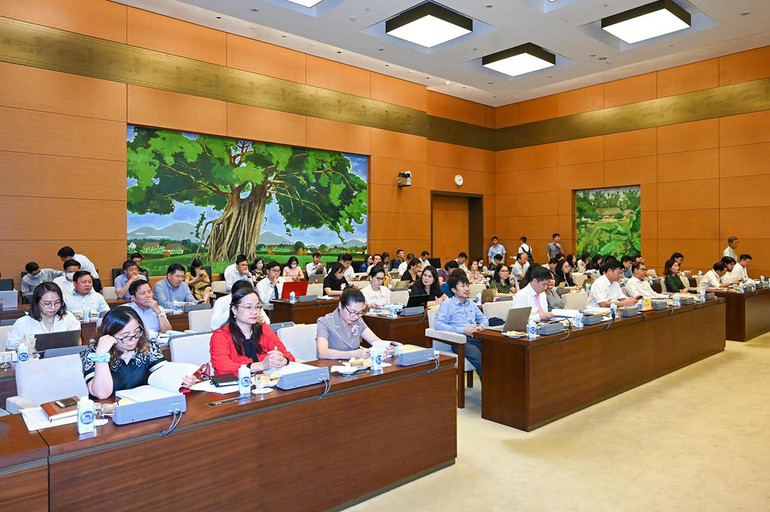 Các đại biểu dự hội thảo. Các đại biểu dự hội thảo.