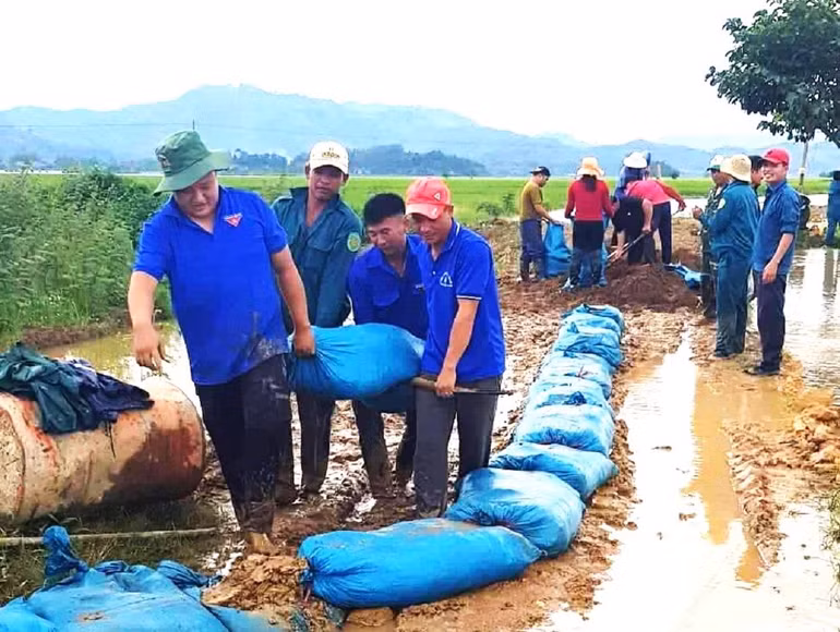 Đoàn viên, thanh niên và người dân huyện Lắk tích cực tham gia phòng, chống lũ lụt, bảo vệ cây trồng. Đoàn viên, thanh niên và người dân huyện Lắk tích cực tham gia phòng, chống lũ lụt, bảo vệ cây trồng.