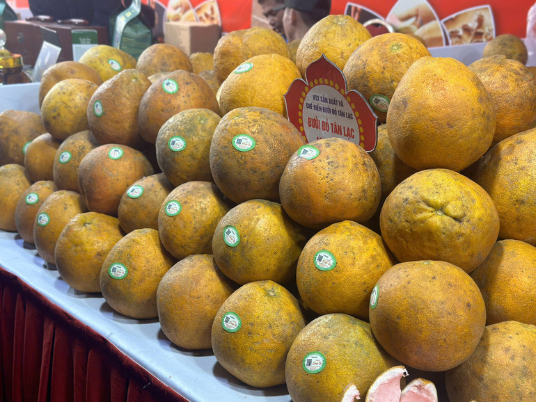 Tham gia chương trình có 1.000 dòng sản phẩm, thực phẩm chế biến, sản phẩm OCOP tiêu biểu.