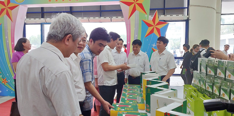 Các đại biểu thăm quan gian hàng trưng bày sản phẩm OCOP